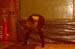 PICT0088