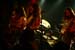 20070331MC-pred_RockOtocec#2_055