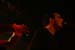20070331MC-pred_RockOtocec#2_087