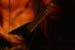 VITAL REMAINS(Usa)055