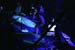 PAUL GILBERT_066