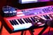 PAUL GILBERT_071