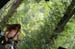 METALCAMP2007_053