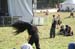METALCAMP2007_109
