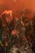 20080612_KLUB_MC_CAVALERA_CONSPIRACY_079079