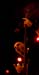 20080624MC-A_STUK_FORBIDDEN_019
