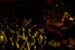 20080624MC-A_STUK_FORBIDDEN_071