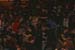20080913MC-B_STUK_HEAVENSHALLBURN_085