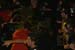 20080913MC-B_STUK_HEAVENSHALLBURN_089