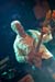 20081108_STUK_THE_DOORS_EXPERIENCE_036