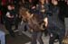 20081117_KLUB_MC_NEGURA_BUNGET_050