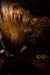 20081210_STUK_METALFEST_033