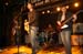 20090131_Woody_seamonkiz15