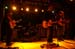 20090131_Woody_seamonkiz28