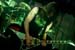20090212_Kreator_66