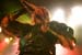 20090214_Dragonforce_Turisas027