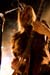 20090214_Dragonforce_Turisas033