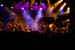 20090214_Dragonforce_Turisas035