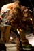 20090214_Dragonforce_Turisas039