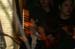 20090314_St.PatricksDay_HappyOlMcWeasel099