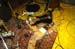 20090314_St.PatricksDay_HappyOlMcWeasel129