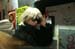 20100213_Pust_080