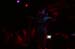 20100604_Gothika_01