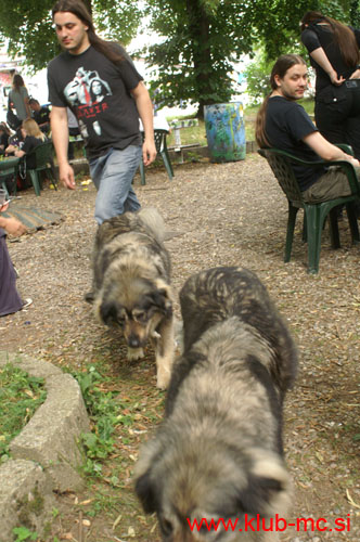 20100625_Tribute_Piknik_39