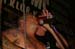 20100827_RealMcKenzies_34