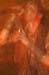 20101015_Watain_Destroyer_Otargos_61