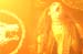 20101015_Watain_Destroyer_Otargos_81