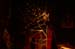 20101031_HalloweenParty_24