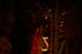 20101031_HalloweenParty_31
