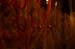 20101031_HalloweenParty_42