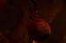 20101031_HalloweenParty_43