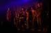 20110922_Tito_Tarantula_82