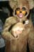20111031_Halloween_30