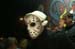 20111031_Halloween_53
